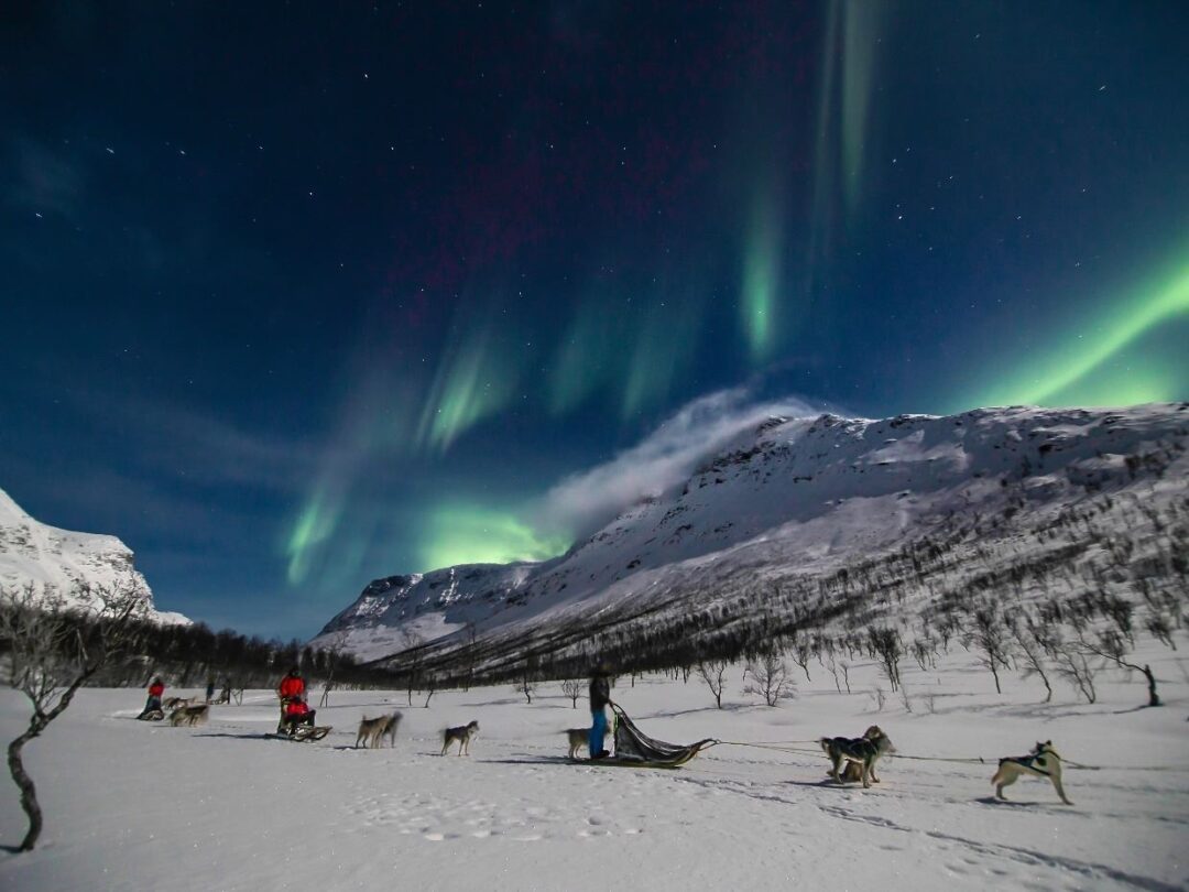 Tromsø dog sledding northern lights