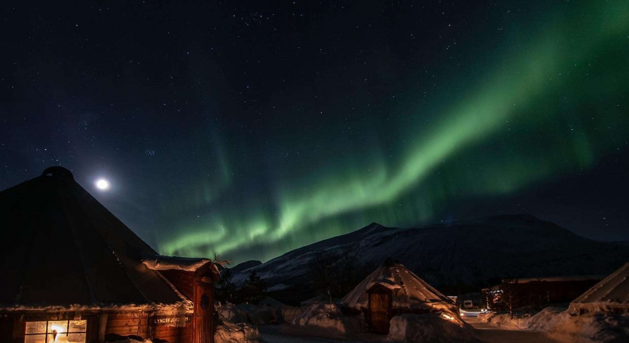 Northern Lights Visit Incl Transport Norwegian Travel