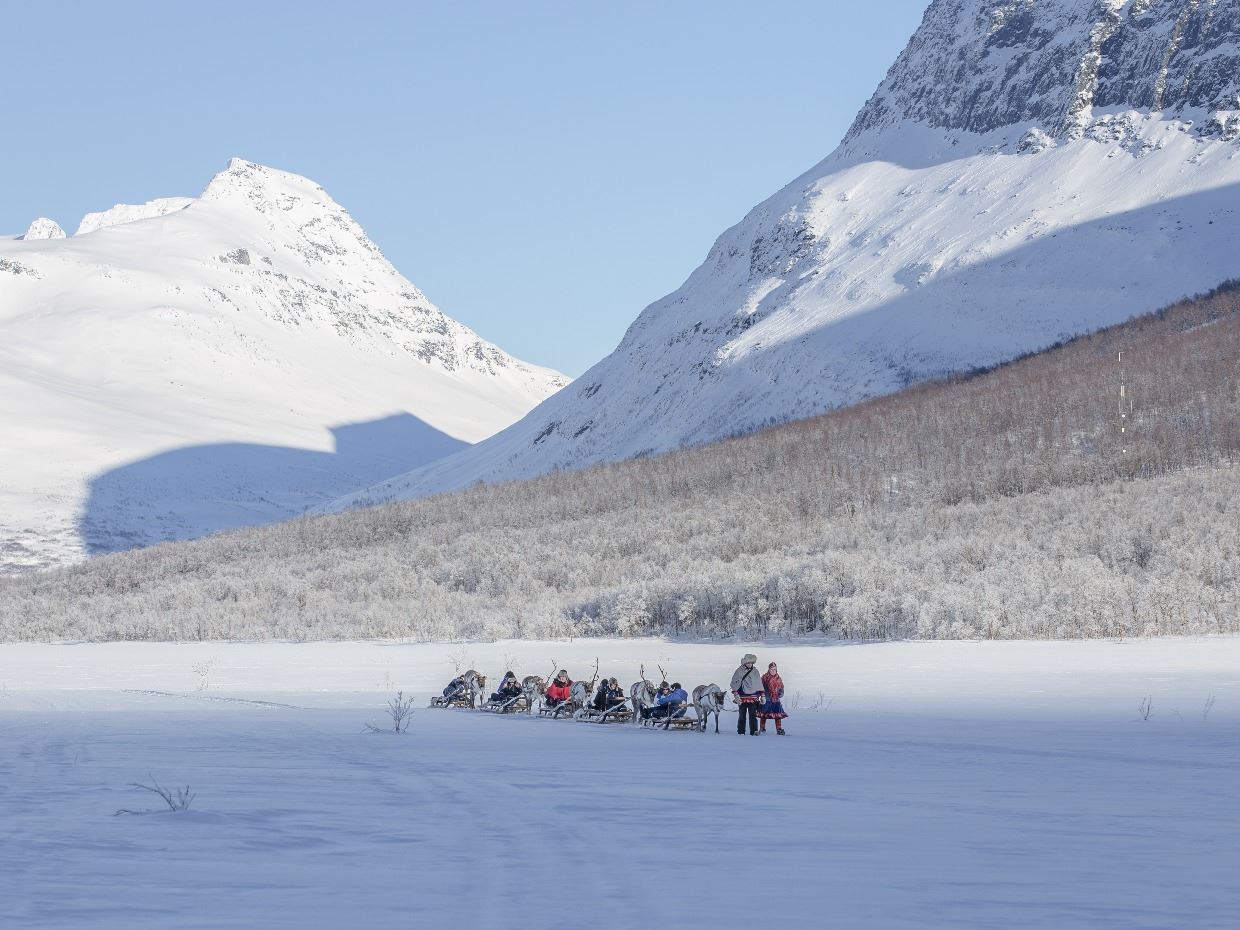 Reindeer sledding winter landscape