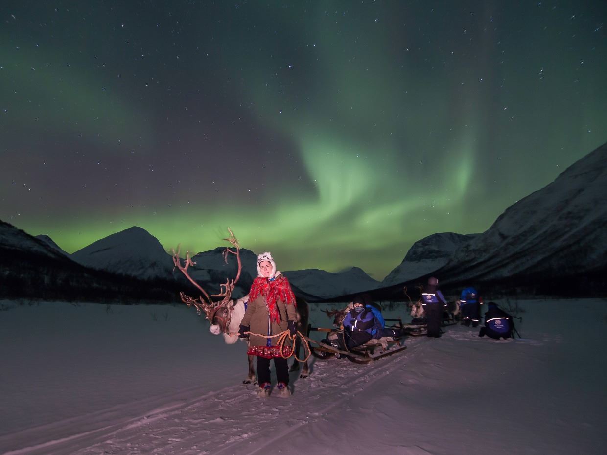 reindeer sledding northern lights tromsø