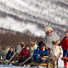 Reindeer Sledding & Ice Domes Guided Tour