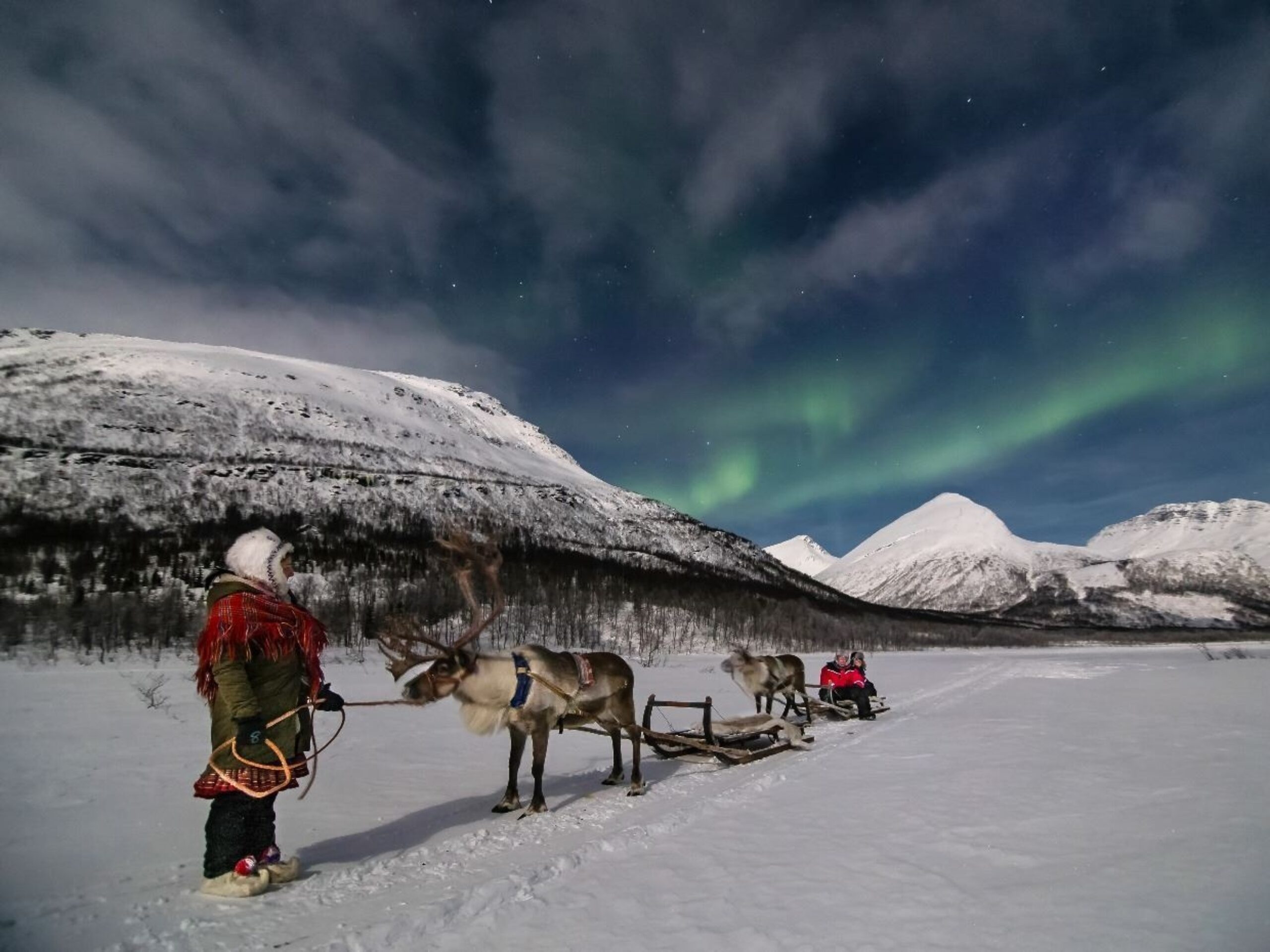 Evening Reindeer Sledding Tours in Tromso
