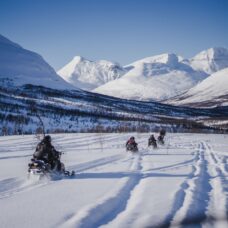 Snowmobiling, Tromsø Ice Domes Snow Park & Reindeer Visit - Excl. Transport
