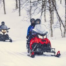 Snowmobiling Daytime - Excl. Transport