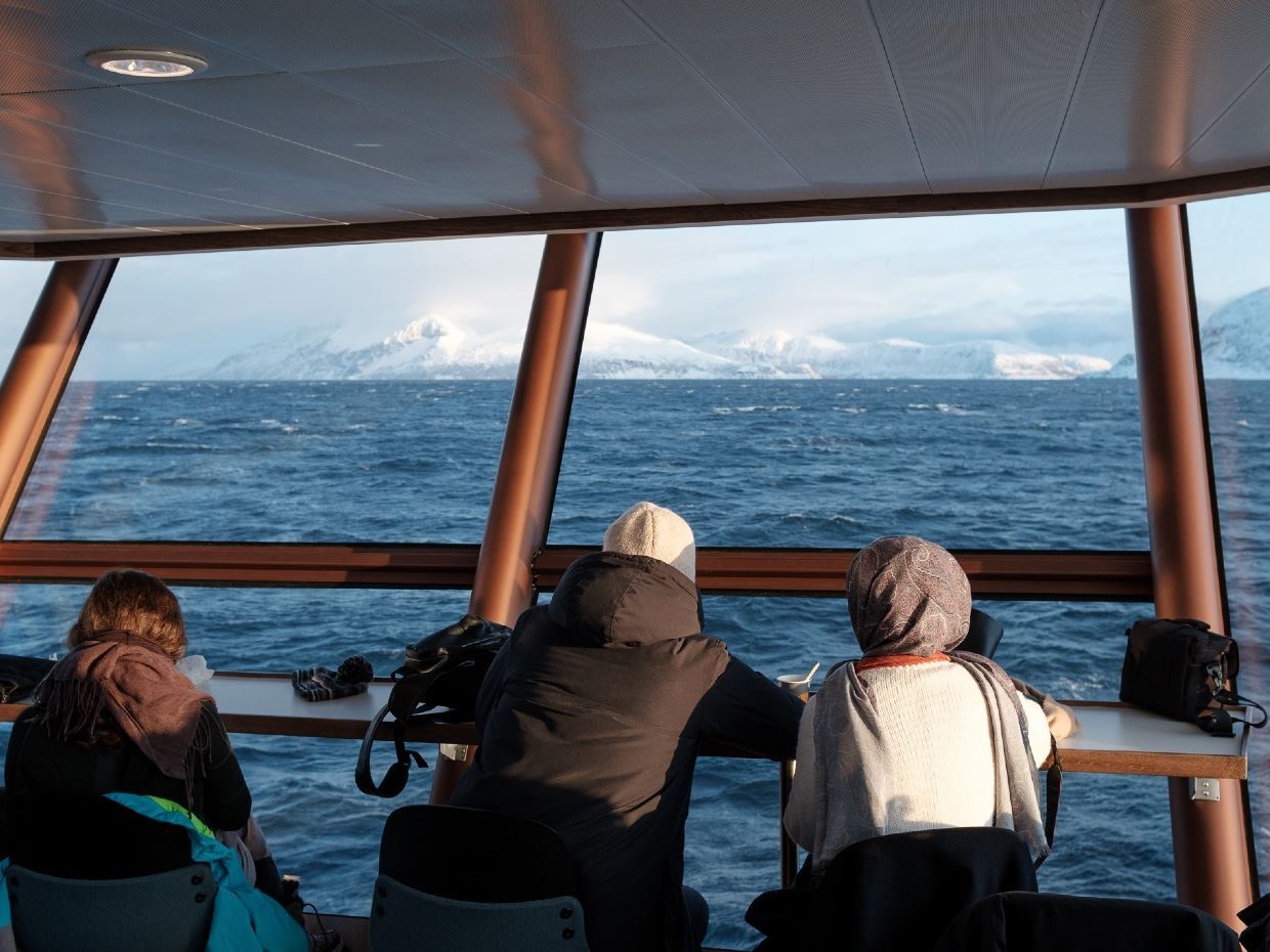 norwegian fjords cruise wildlife