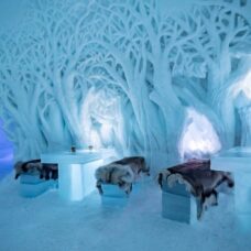 Tromsø Ice Domes & Reindeer Visit - Excl. Transport
