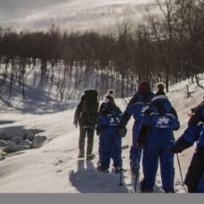 Snowshoeing, Ice Domes Guided Tour & Reindeer Visit
