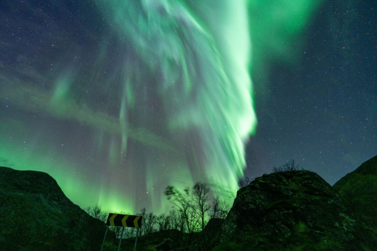 northern lights narvik