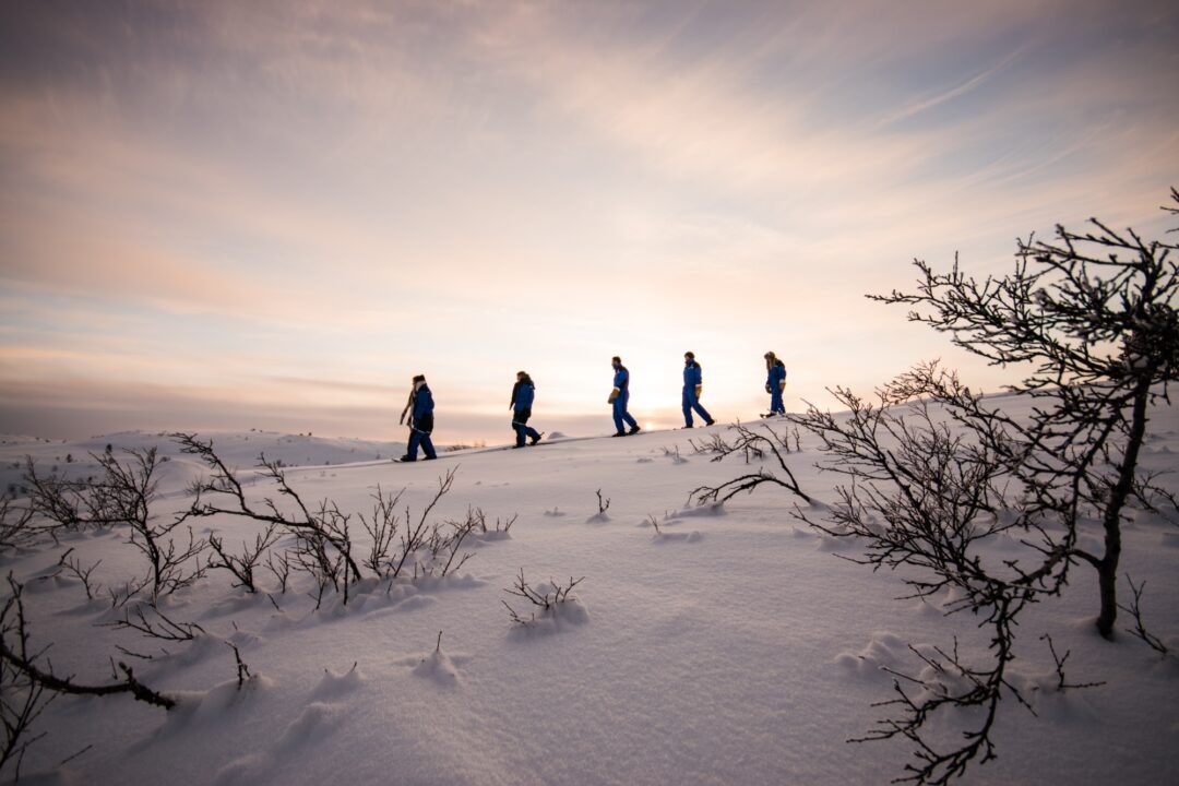 snowshoeing tours tromsø norway