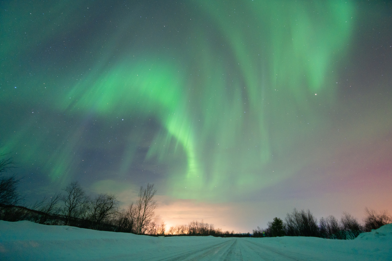 hvid tackle retning Northern Lights Holiday Packages 2023-2024 | Norwegian Travel