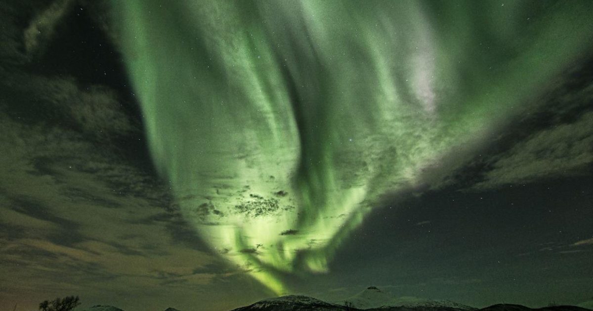 Northern Lights Holiday Packages 20222023 Norwegian Travel