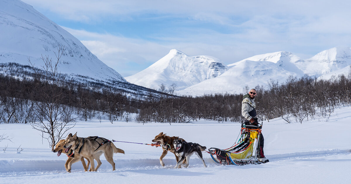 Dog sledding for hot sale beginners