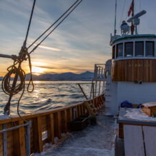 Fjord- og historiecruise med Hermes II