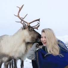 Short Reindeer Sledding, Reindeer Feeding and Sami Culture
