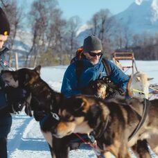 Husky Experience and Dog Sled Driving