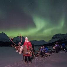 Reindeer Sledding Evening - Incl. Transport