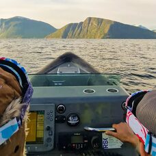 RIB-safari: Fartsfylt tur i Romsdalen (45 min - 1 hr)