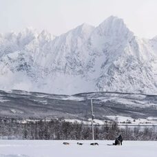 Fun & Easy Dog Sledding Adventure