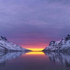Fjordcruise and Wildlife Safari by Minivan from Sommarøy Arctic Hotel