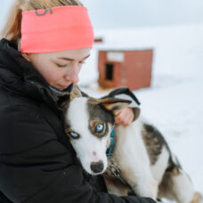 Dog Sledding Experience at Aurora Husky