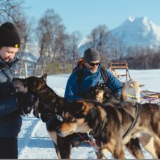 Husky Experience and Dog Sled Driving - Early Bird