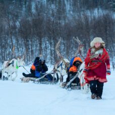 Reindeer Sledding & Ice Domes Guided Tour - Incl. Transport