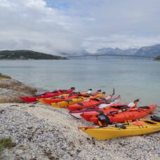 Guided Sea Kayaking Tour at Sommarøy