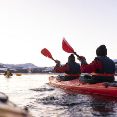 Guided Winter Sea Kayaking Tour - Incl. Transfer