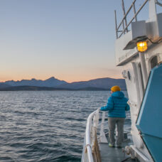 Sightseeing cruise around Tromsø island