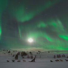 Hunting Northern Lights by Husky