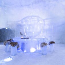 Ice Bar: Frozen Noses