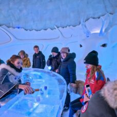 Ice Bar: Frozen Noses