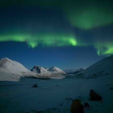 All-Inclusive Northern Lights Chase by Minibus