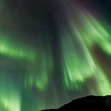 Autumn Aurora Package