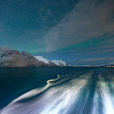 Arctic Fjords & Northern Lights (Northbound)