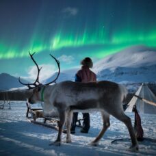 Sami Culture, Northern Lights & Reindeer Visit Evening – Excl. Transport