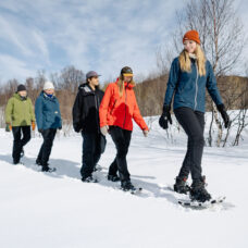 Snowshoe Hiking Experience from Tromsø