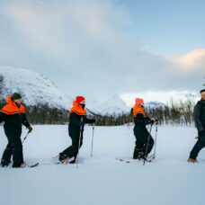 Snowshoeing, Tromsø Ice Domes Snow Park & Reindeer Visit - Incl. Transport