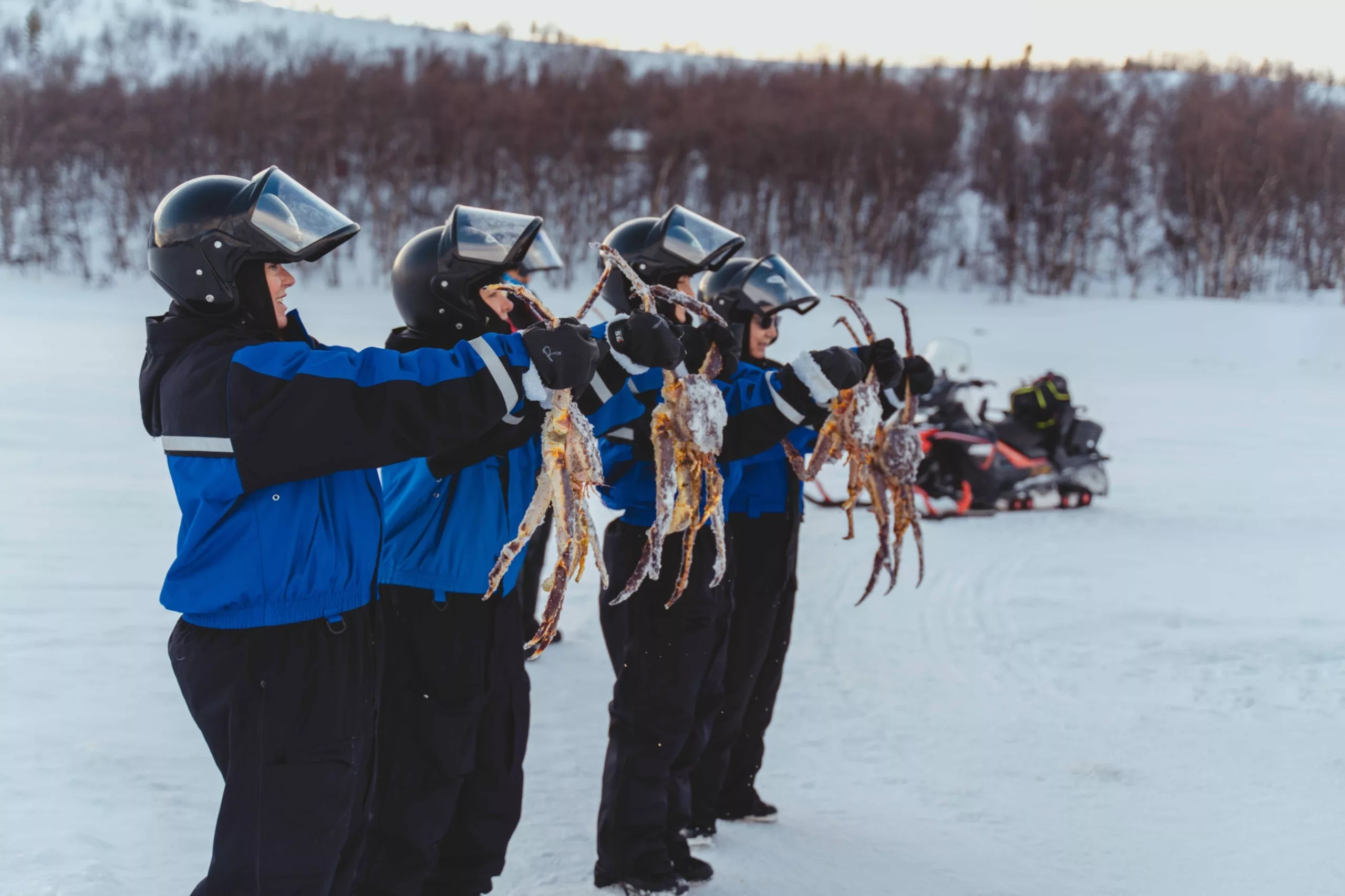 kirkenes king crab safari